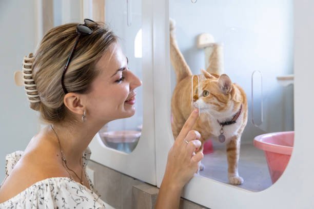 Why do some animal rescue cases require specialized training?